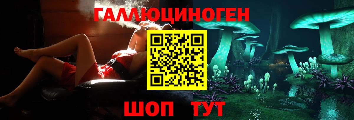 сколько стоит  Псилоцибиновые грибы мицелий  Вход с VPN  Камышин  Псилоцибиновые грибы Psilocybine cubensis 